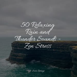 50 Relaxing Rain and Thunder Sounds - Zen Stress - Sleep Meditation Dream Catcher