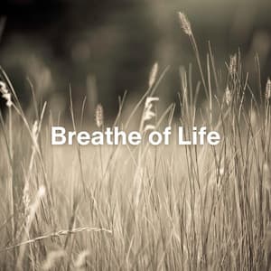 Breathe of Life - Relaxing Collection
