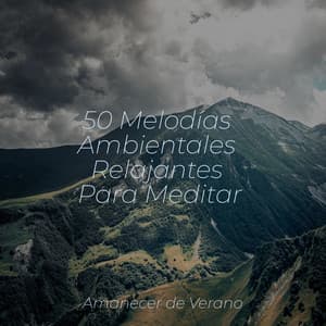 50 Melodías Ambientales Relajantes Para Meditar - Guitarra Clásica Española