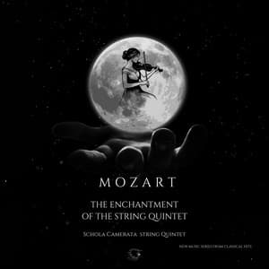 Mozart - The Enchantment Of The String Quintet - New Music Series From Classical Hits - Classical Hits