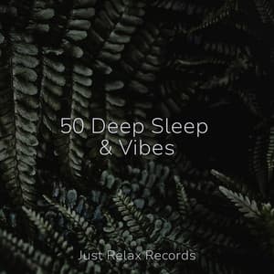 50 Deep Sleep & Vibes - Binaural Beats Brainwave Entrainment