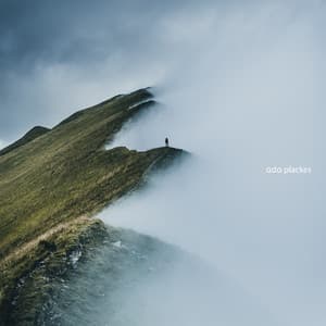 Inner Wisdom - Ada Plackes