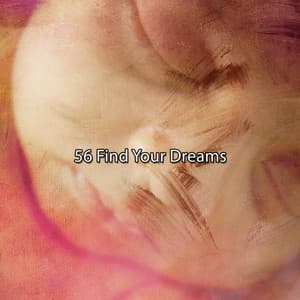 56 Find Your Dreams - Sleeping Music