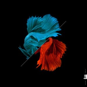 Tonadas - Julián Argüelles