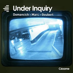 Under Inquiry - Sophia Domancich