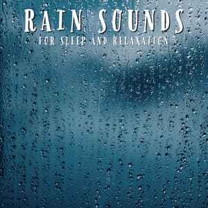 Rain Sounds For Sleep and Relaxation - Natural Sample Makers