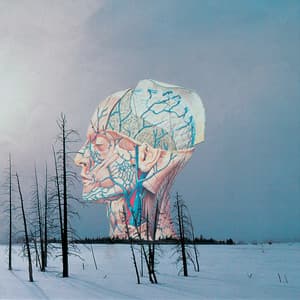 Songs for a Dead Pilot - Low