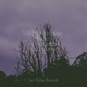 50 Meditation Music - Instrumental Lullabies - Chinese Relaxation and Meditation