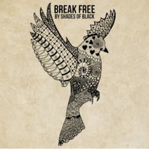 Break Free - Paul Fox