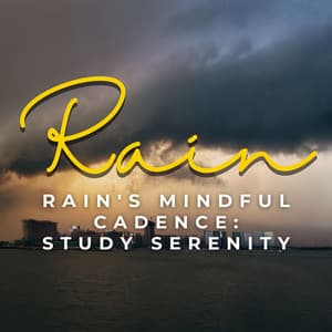 Rain's Mindful Cadence: Study Serenity - Calm Storm