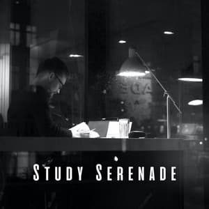 Study Serenade: Elevate Focus with Gentle Pink Noise - Study