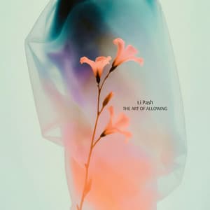 The Art of Allowing - Li Pash