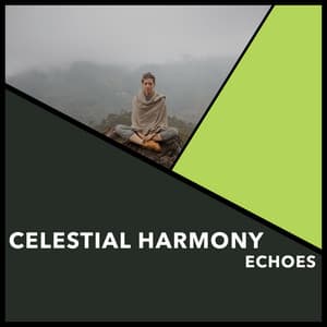 Celestial Harmony Echoes - Reiki Collective