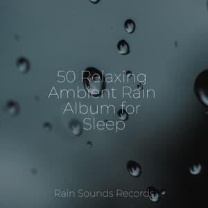 50 Relaxing Ambient Rain Album for Sleep - Meeresrauschen
