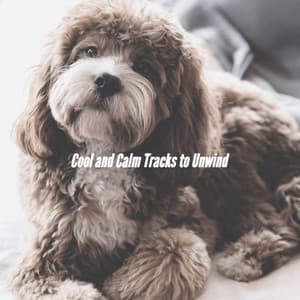 Cool and Calm Tracks to Unwind - Musica Per Cani