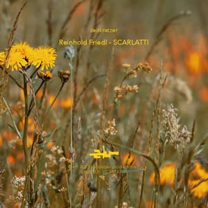 Friedl: Scarlatti - Zeitkratzer
