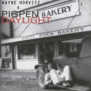 Daylight - Wayne Horvitz