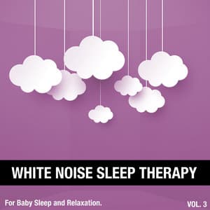 White Noise Sleep Therapy, Vol. 3 - White Noise Sleep Therapy