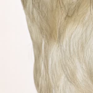 365 Complete Works 26 - Aidan O'Rourke