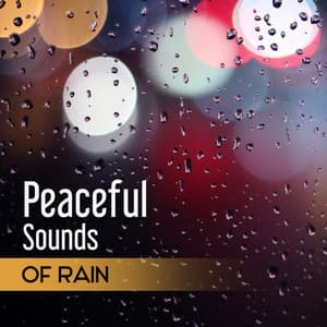 Peaceful Sounds of Rain: New Age Music to Help You Relax, Deep Sleep, Meditation, Echoes of Nature for Contemplations & Reflections, Yoga Training - Water Music Oasis