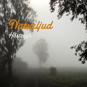 Höstregn - Naturljud