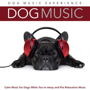 Dog Music: Calm Music for Dogs While You're Away and Pet Relaxation Music - Dog Music Experience
