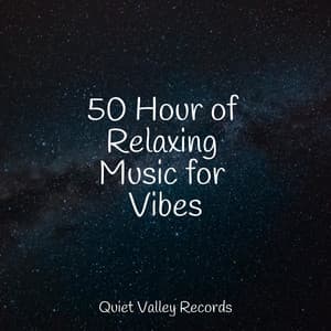 50 Hour of Relaxing Music for Vibes - Rain Sounds Sleep