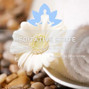 Meditative State - Mindfulness Meditation, Relaxation Practices, and Calmness - Quarantine Meditation