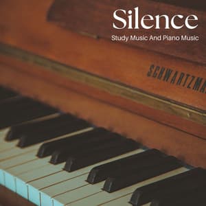 Silence: Piano Meditation Music - Study Music And Piano Music