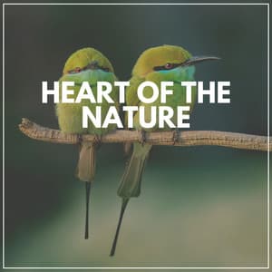 Heart of the Nature - Nature Sound Series