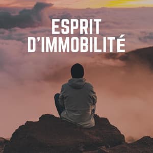 Esprit D'immobilité - Zone de la Musique Relaxante