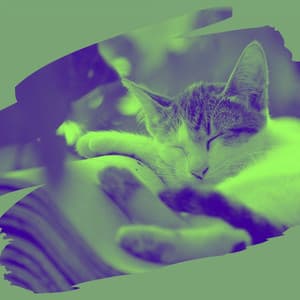 Feelings for Stressed Kittens - Cat Total Relax