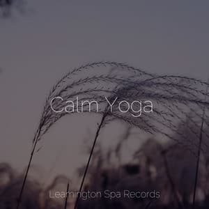 Calm Yoga - Sleeping Music