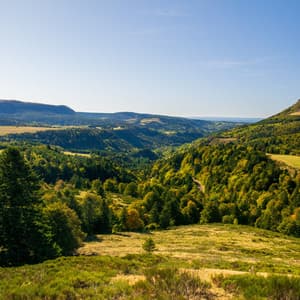 Sounds of Sleep and Meditation - The Sleep Helpers