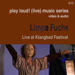 Live at Klangbad Festival - Limpe Fuchs
