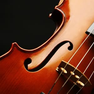 Relaxing Orchestra Melodies for Dog's Peace - Charles Anderson