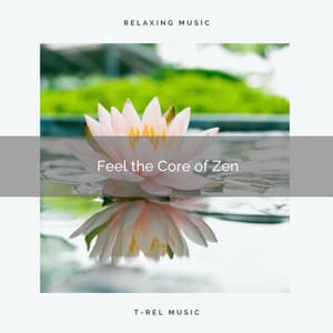 ! ! ! ! ! Feel the Core of Zen - Sounds of Nature White Noise for Mindfulness Meditation and Relaxation