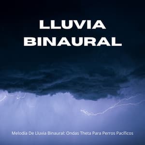 Melodía De Lluvia Binaural: Ondas Theta Para Perros Pacíficos - Grabaciones de ritmos binaurales