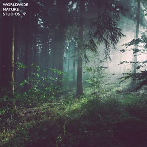 Paradise Island Birds - Worldwide Nature Studios