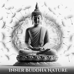 Inner Buddha Nature: Mahayana Meditation, Ancient Wisdom, Buddhist Emptiness - Buddhist méditation académie