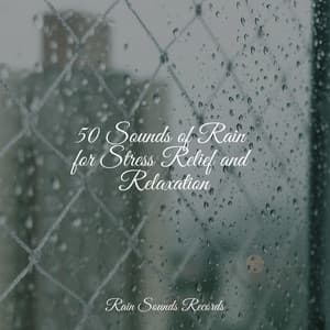 50 Sounds of Rain for Stress Relief and Relaxation - Sounds of Nature Relaxation