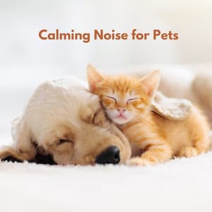 Calming Noise for Pets - The Dog Relaxer