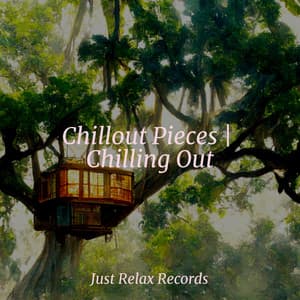 Chillout Pieces | Chilling Out - Musica para Dormir Dream House