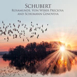 Schubert Rosamunde, Von Weber Preciosa and Schumann Genoveva - Franz Schubert