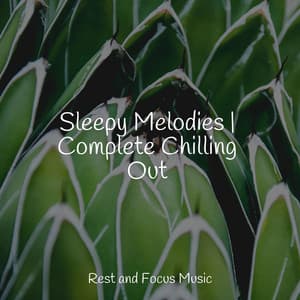 Sleepy Melodies | Complete Chilling Out - Musica Reiki