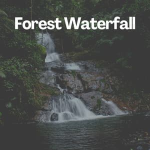 Forest Waterfall - Nature Label
