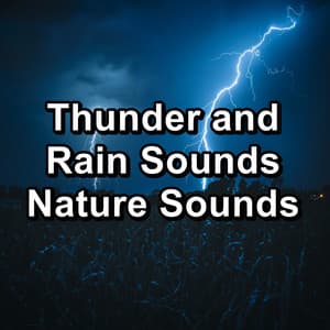 Thunder and Rain Sounds Nature Sounds - Sounds Of Nature