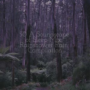 50 A Soundscape of Sleep Mix: Rainshower Rain Compilation - Pro Sound Effects Library