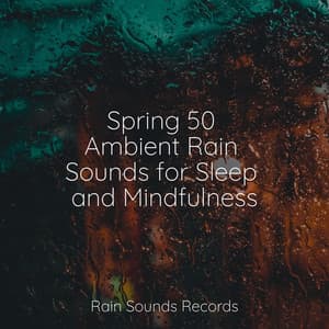 Spring 50 Ambient Rain Sounds for Sleep and Mindfulness - Canción de Cuna