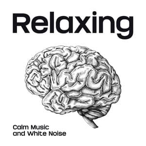 Relaxing Calm Music and White Noise During Intensive Study - White Noise Universe